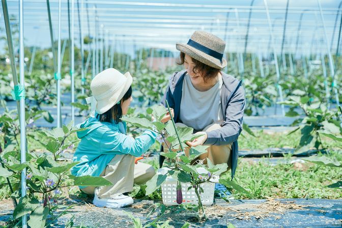 前編】触れて食べて！ 野菜がもっと好きになる「ヤサイな仲間たち